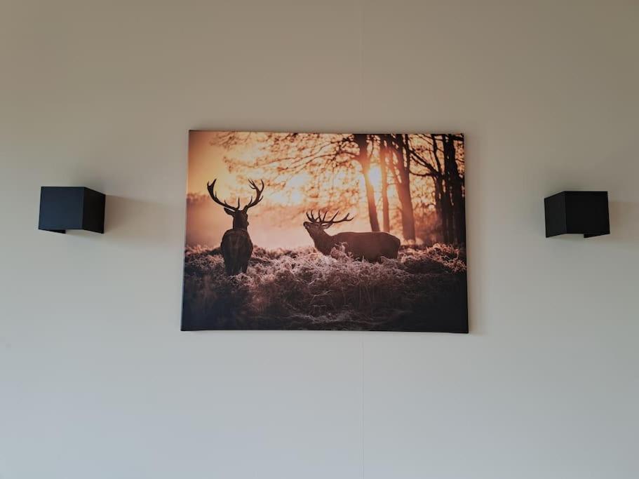 Lange Heide Apartment Otterlo Luaran gambar